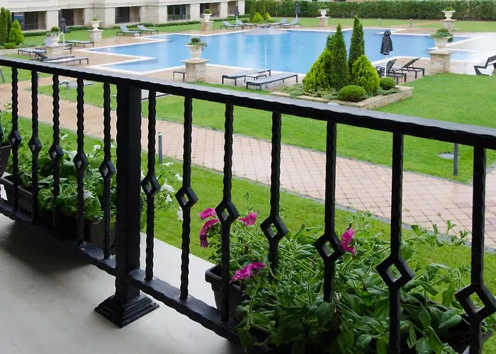 молинезия Daire *